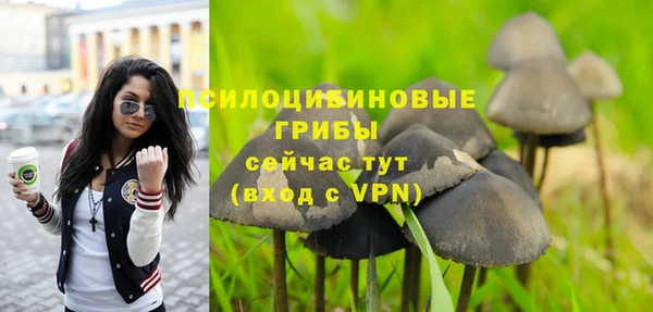 бошки Сясьстрой