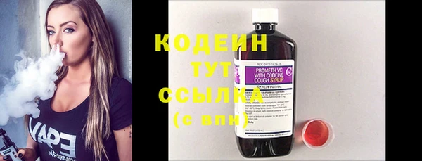 прущие грибы Долгопрудный