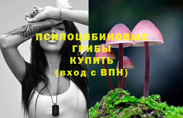 спиды Майский