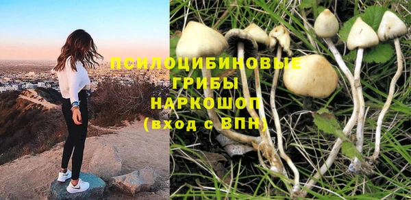 кокс Магас