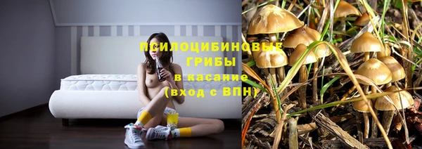 спиды Майский