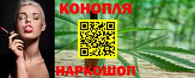 трава Гатчина