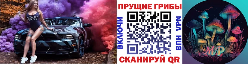 KRAKEN ONION  магазин продажи наркотиков  Железноводск  Галлюциногенные грибы Psilocybe 