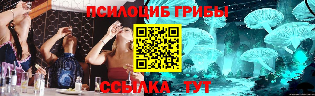 Галлюциногенные грибы мухоморы  Вход с VPN  Железноводск 