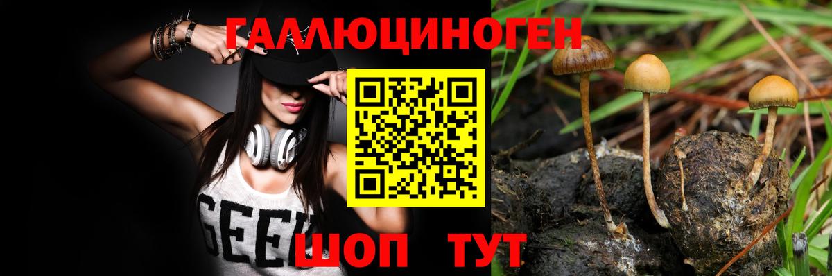 Псилоцибиновые грибы Psilocybe Железноводск